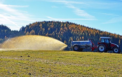 L'activité agricole est la principale responsable de la présence de nitrate dans l'eau